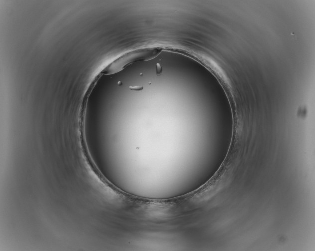 X0000091060847200708061240