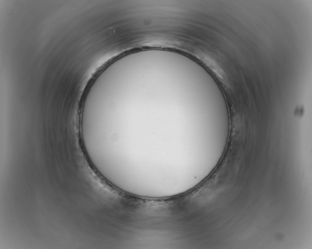 X0000091060848200708061240