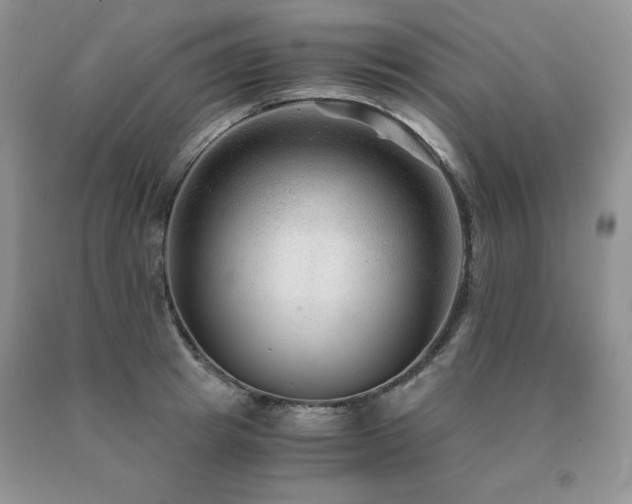 X0000091060849200708061240