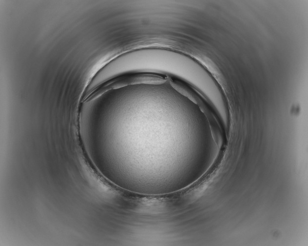 X0000091060850200708061240