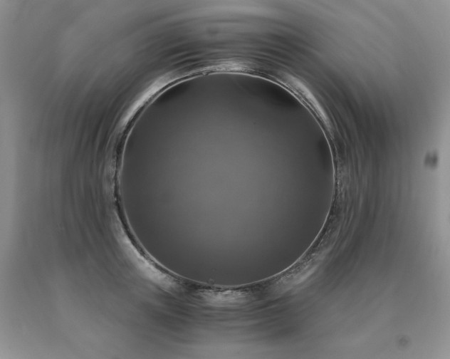 X0000091060851200708061240