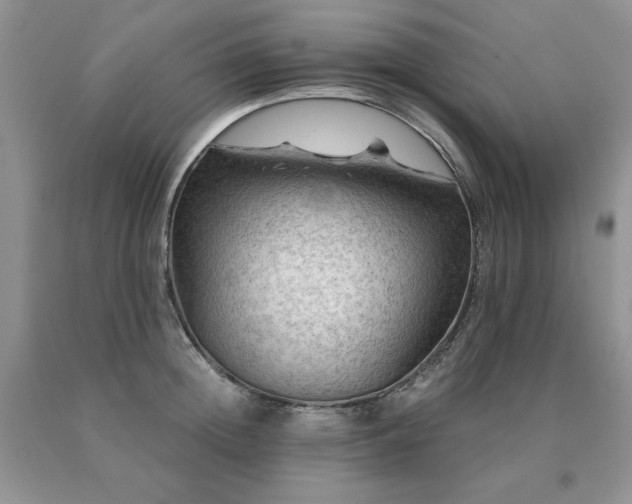 X0000091060852200708061240