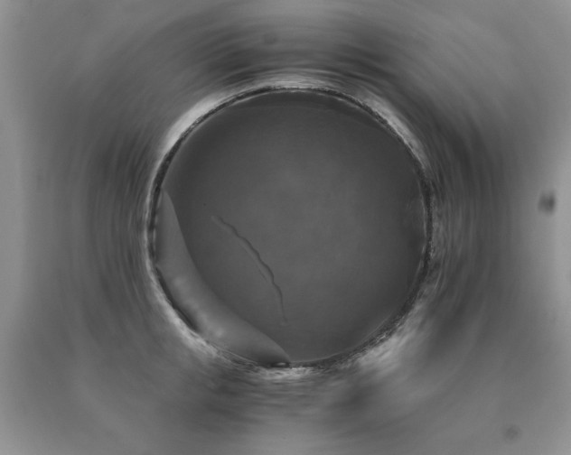 X0000091060853200708061240