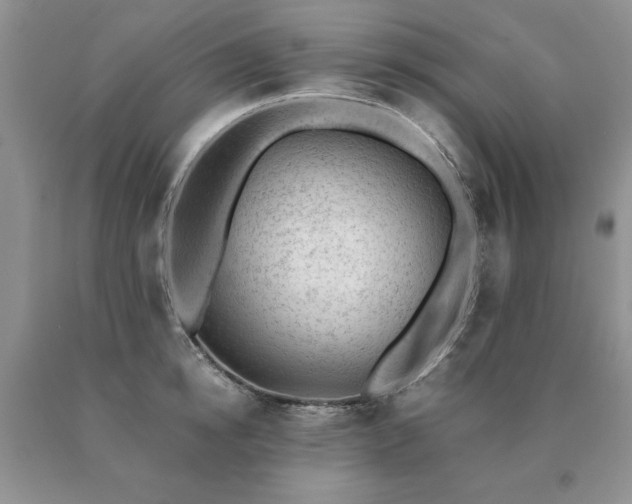 X0000091060854200708061240