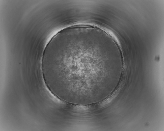 X0000091060855200708061240