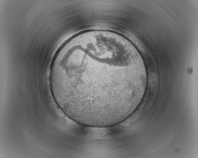 X0000091060856200708061240