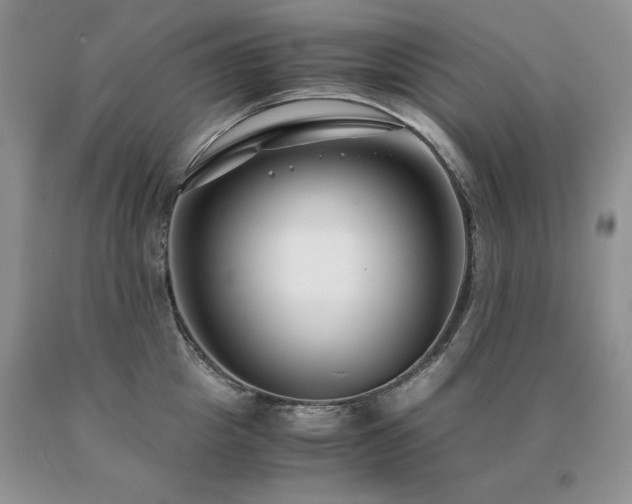 X0000091060857200708061240