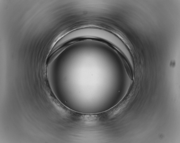 X0000091060858200708061240