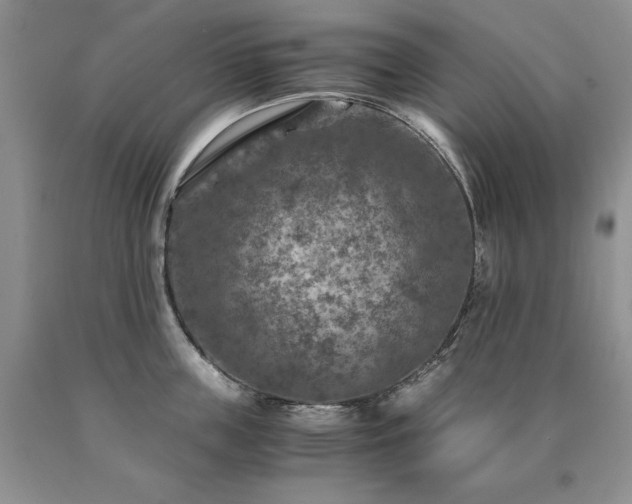 X0000091060859200708061240