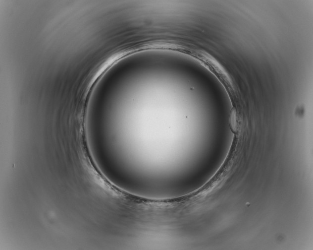 X0000091060860200708061240