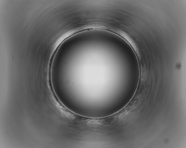 X0000091060861200708061240