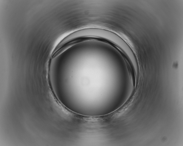 X0000091060862200708061240