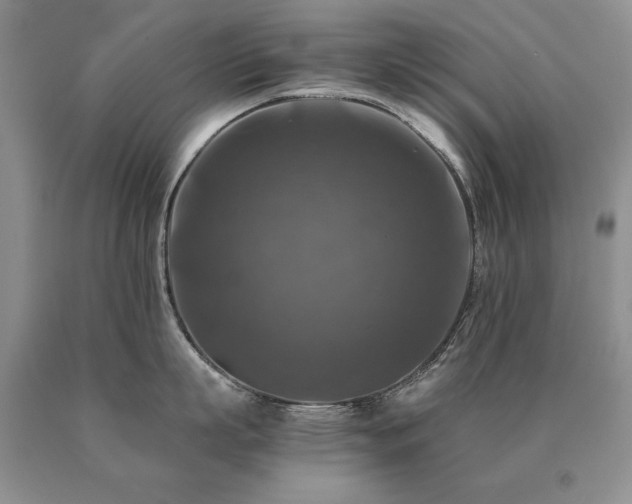 X0000091060863200708061240
