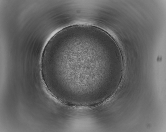 X0000091060864200708061240