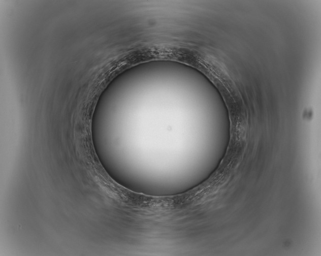 X0000091060865200708061240
