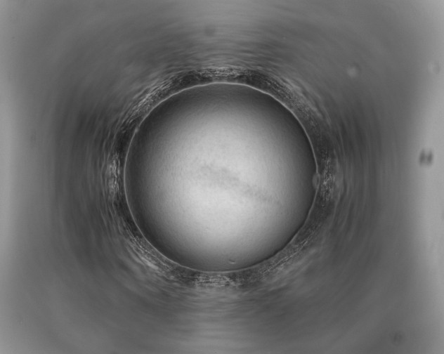 X0000091060866200708061240