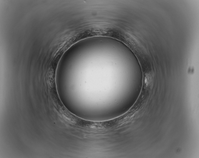 X0000091060867200708061240