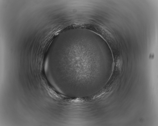 X0000091060868200708061240