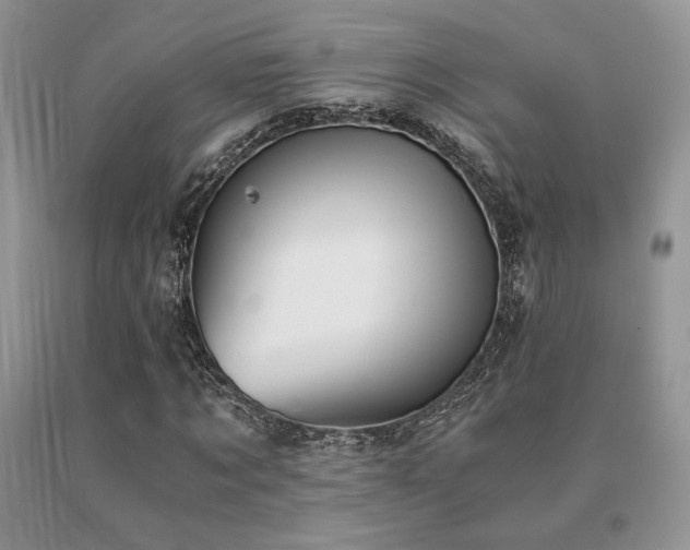 X0000091060869200708061240