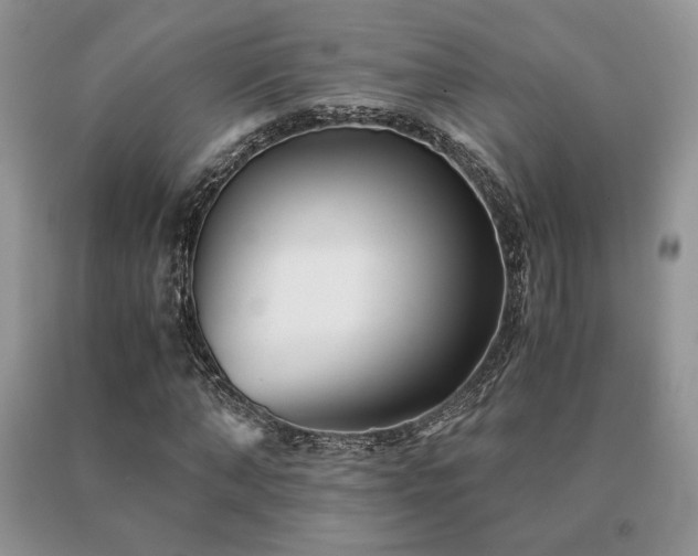 X0000091060870200708061240