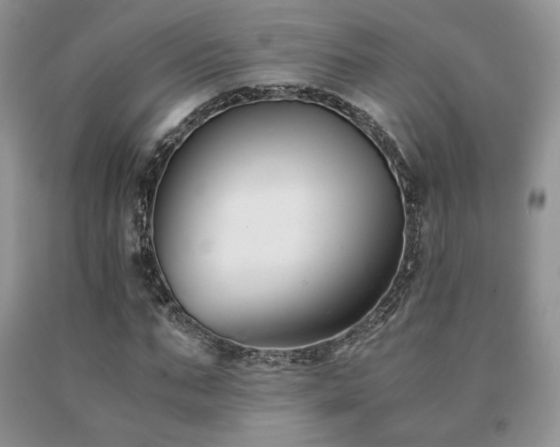 X0000091060871200708061240