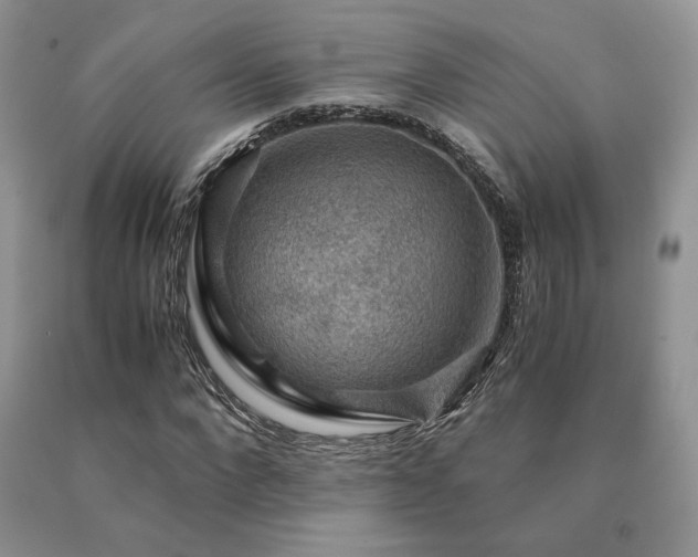 X0000091060872200708061240