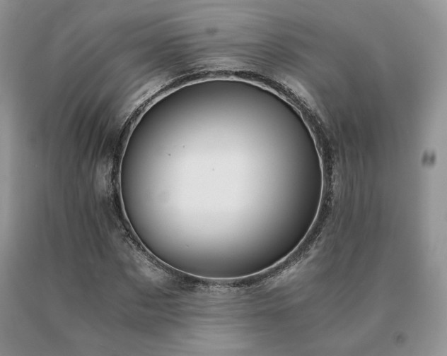 X0000091060873200708061240