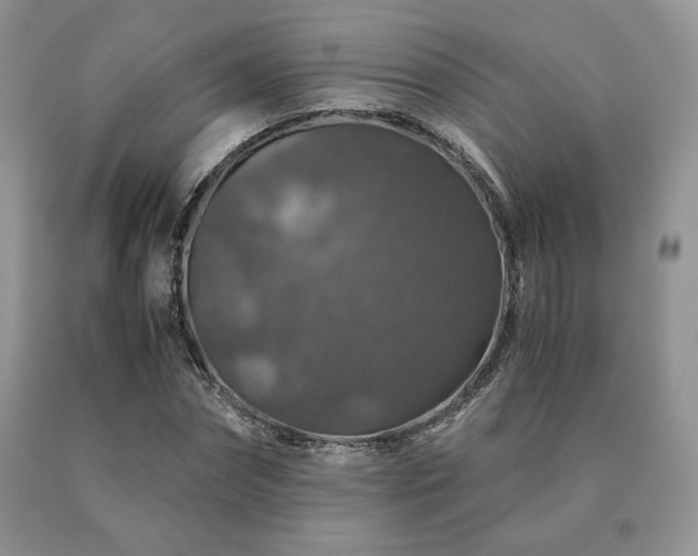 X0000091060874200708061240