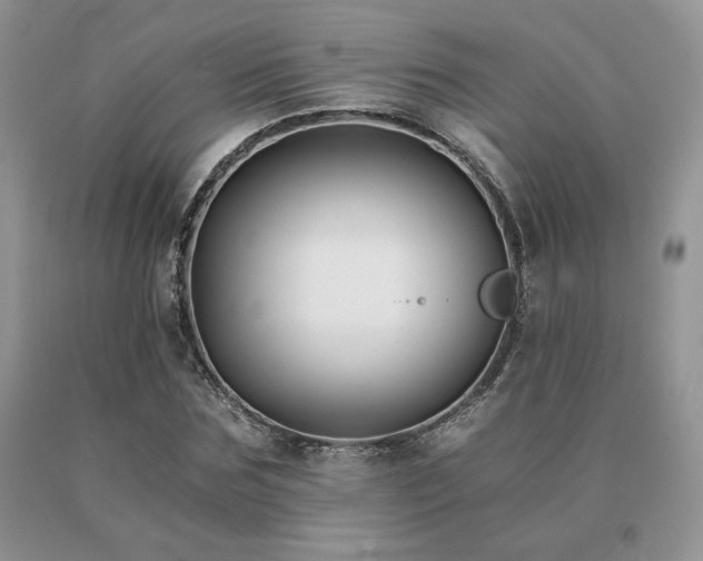 X0000091060875200708061240