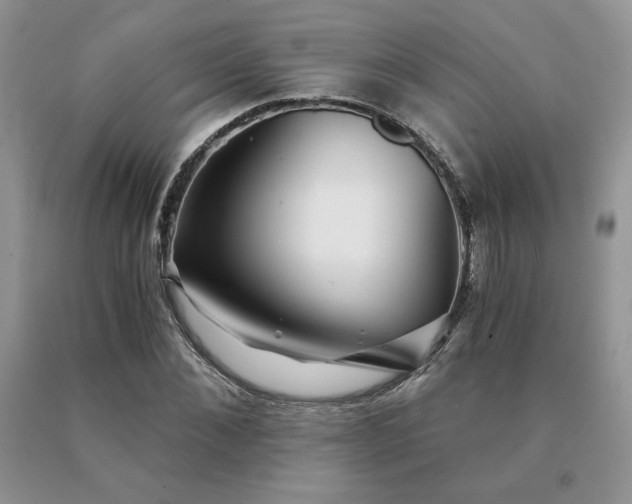 X0000091060876200708061240
