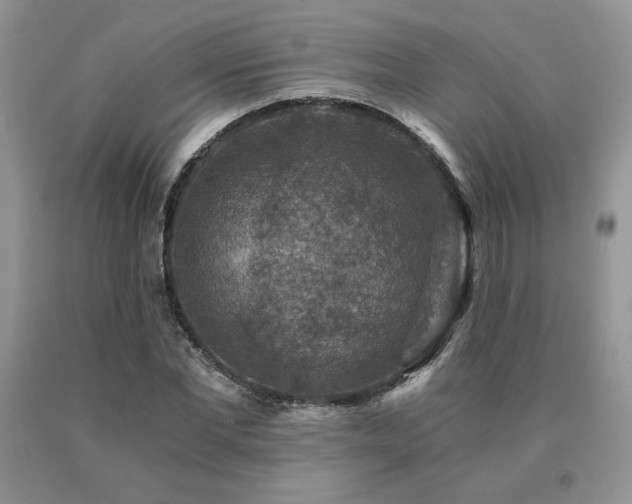 X0000091060877200708061240