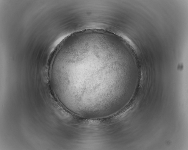 X0000091060878200708061240