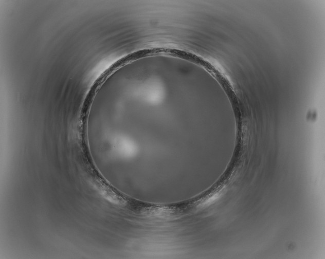 X0000091060879200708061240