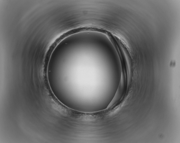 X0000091060880200708061240