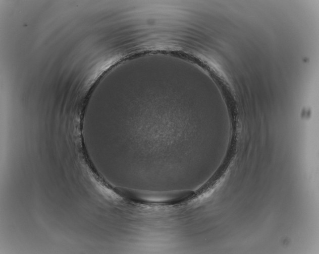 X0000091060881200708061240