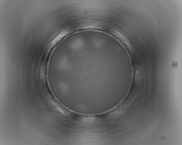X0000091060882200708061240