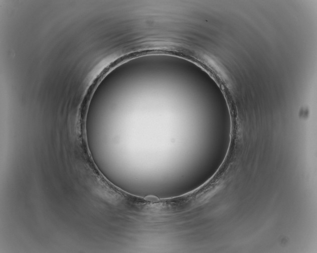 X0000091060883200708061240