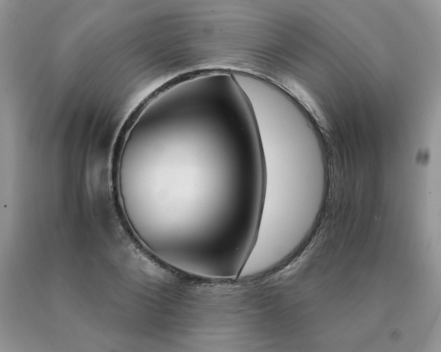 X0000091060884200708061240