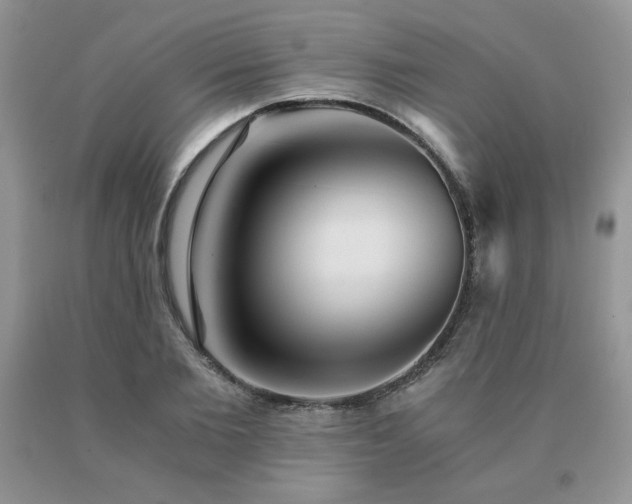 X0000091060885200708061240