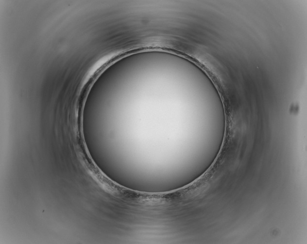 X0000091060886200708061240