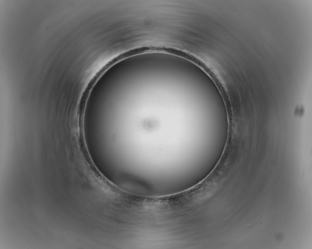 X0000091060887200708061240
