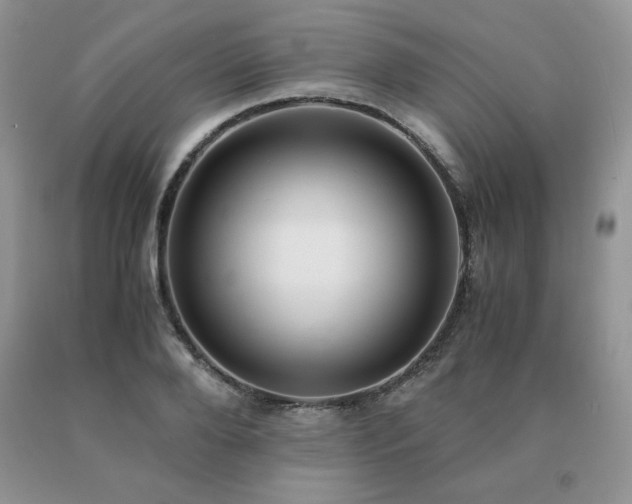 X0000091060888200708061240