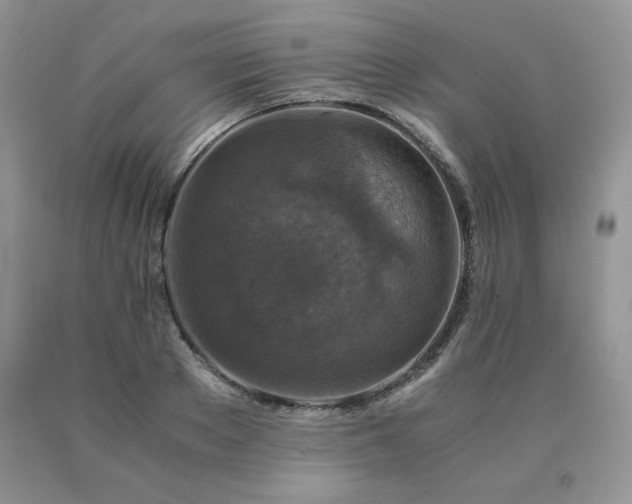 X0000091060889200708061240