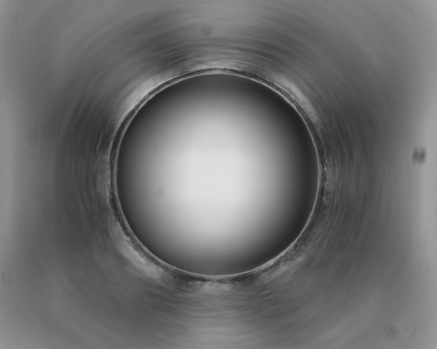 X0000091060890200708061240