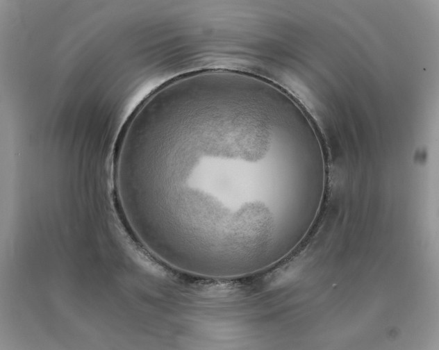 X0000091060891200708061240