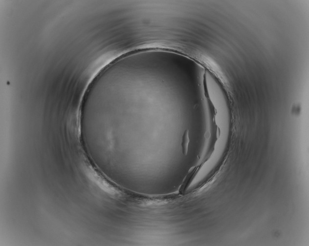 X0000091060892200708061240