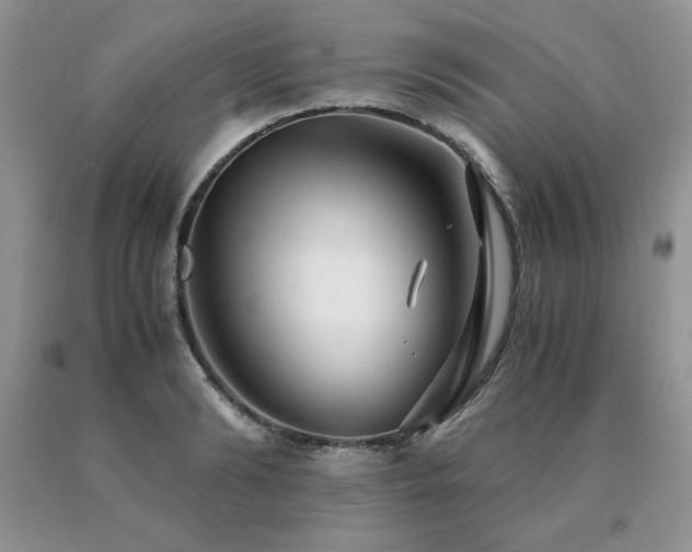 X0000091060894200708061240