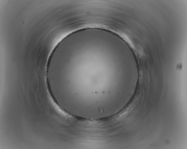 X0000091060895200708061240