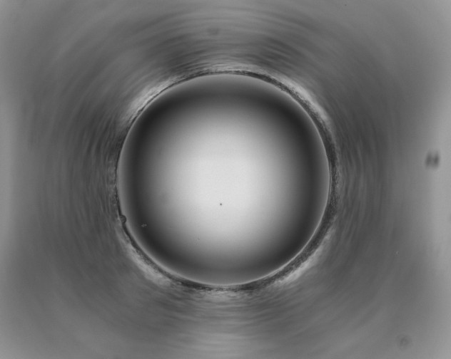 X0000091060897200708061239
