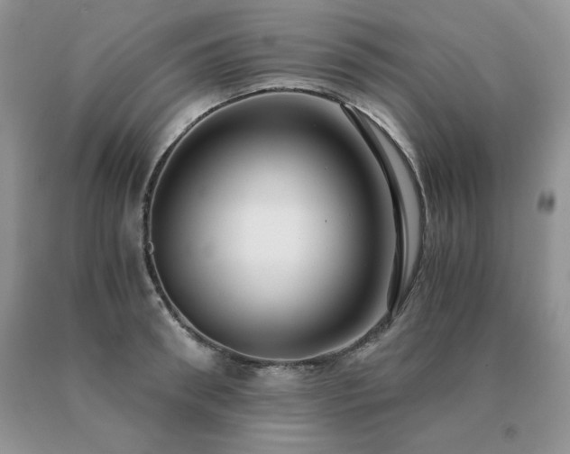 X0000091060898200708061239